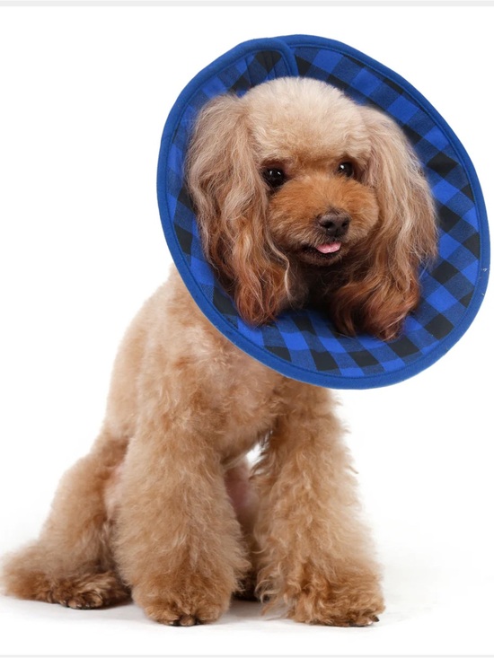Alfie Pets Other - Alfie Pet Candace Recovery Cone Collar Blue Flannel Size Small